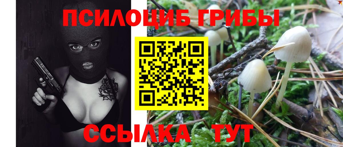 Псилоцибиновые грибы Cubensis  Вход с VPN  Муром 