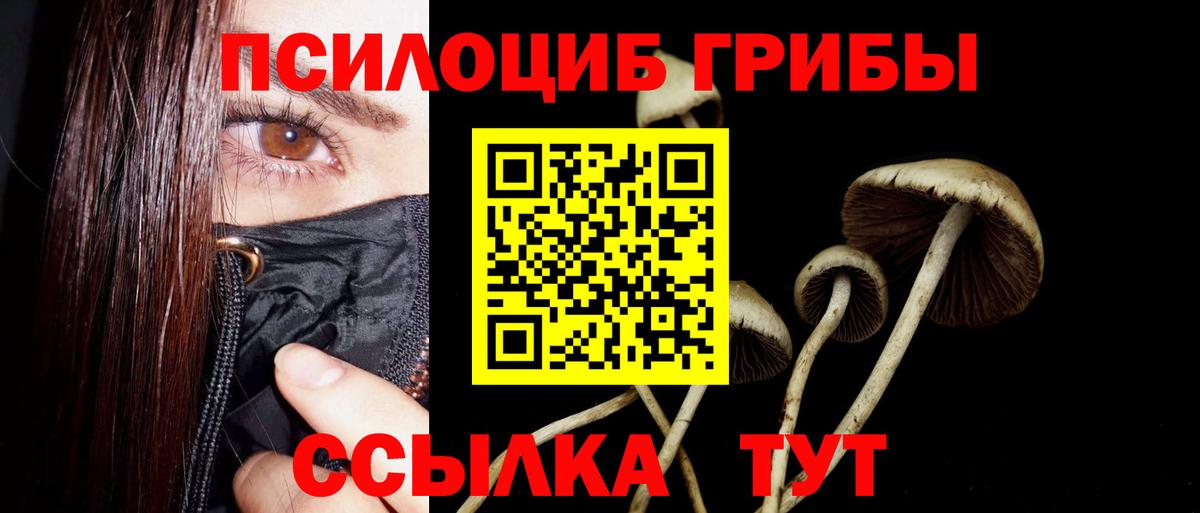 Псилоцибиновые грибы MAGIC MUSHROOMS Муром